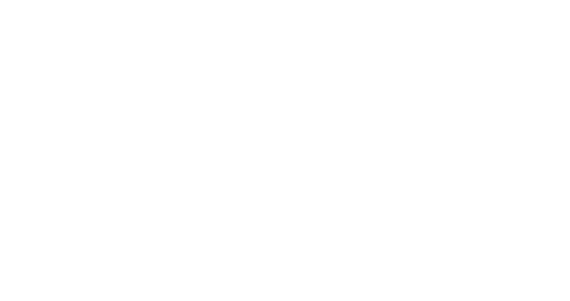 Picsel